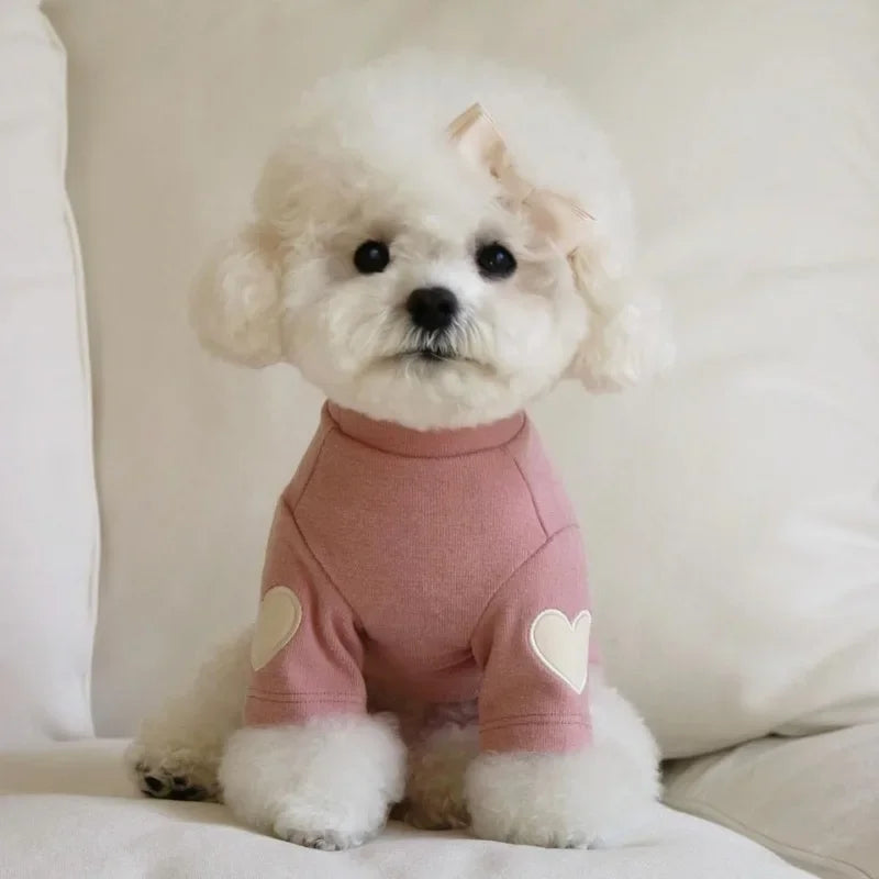 Fearless Teddy Love Pup Sweater