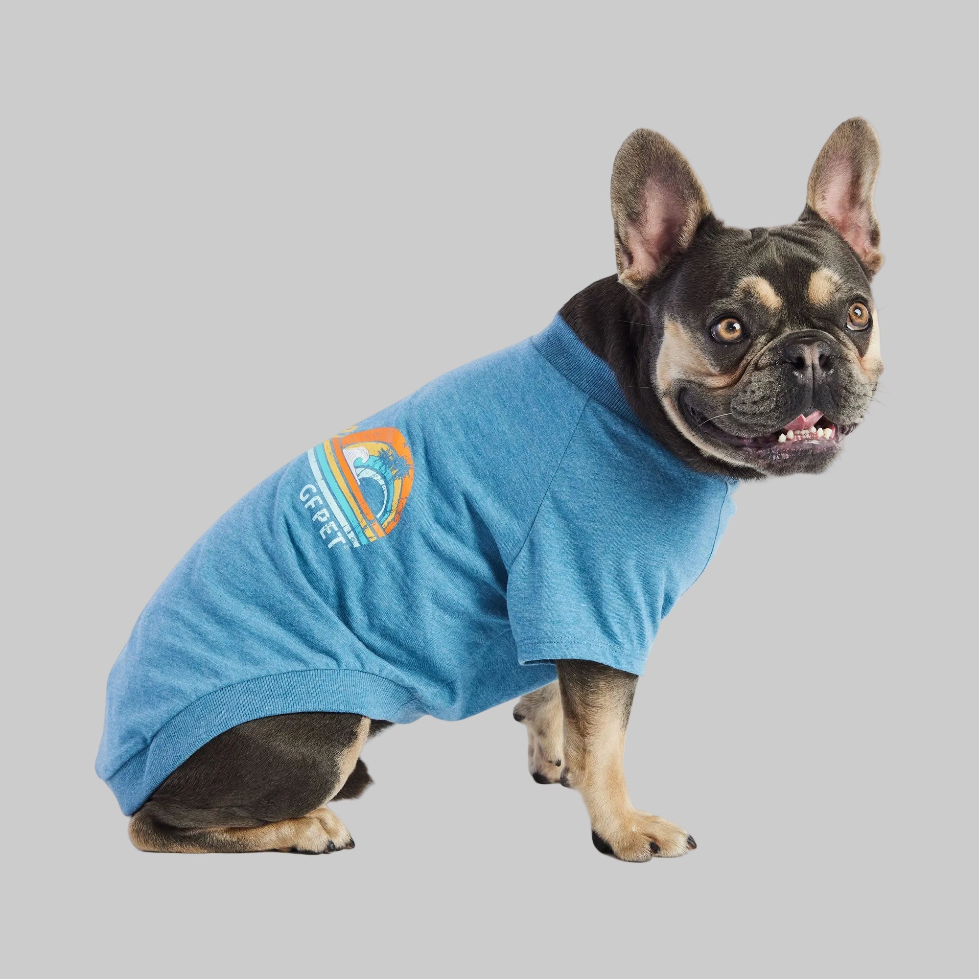 Vintage Sunset Dog Tank