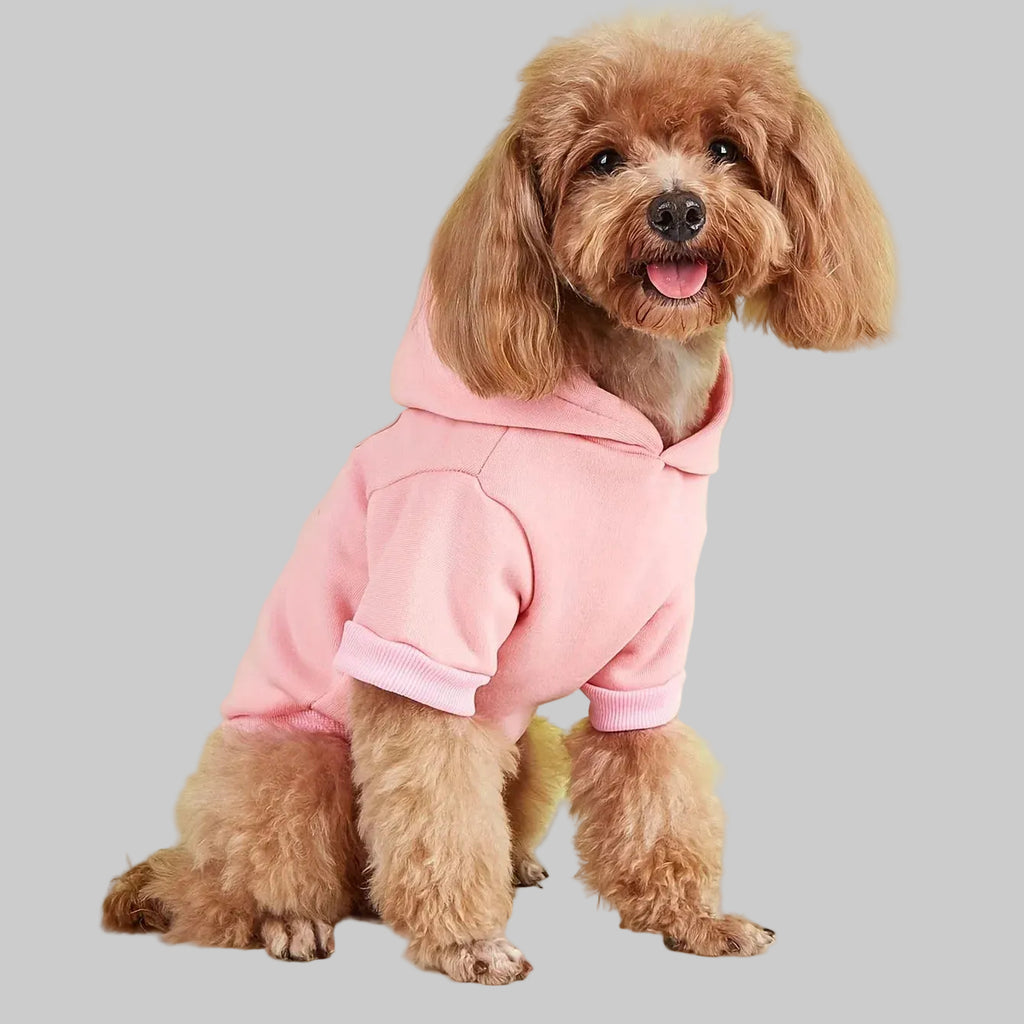 Pink Bow Pet Hoodie
