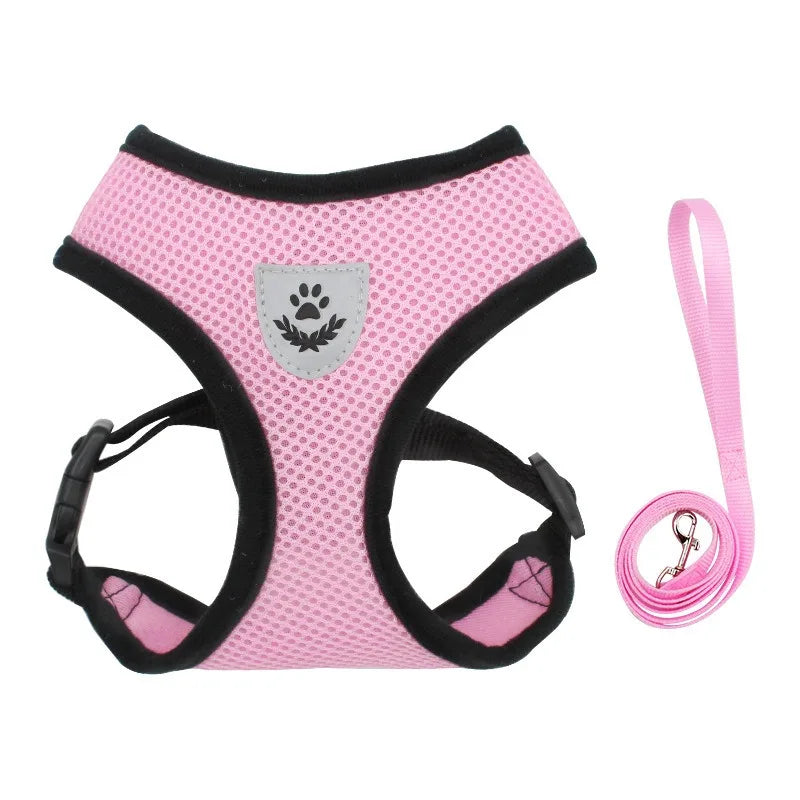 Fearless Pet Harness and Leash Set