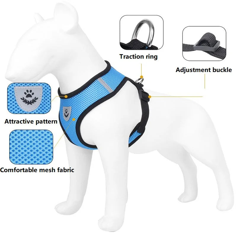 Fearless Pet Harness and Leash Set