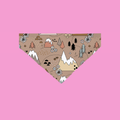 Peak Explorer Bandana