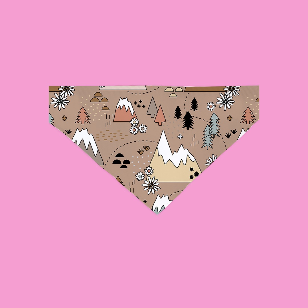 Peak Explorer Bandana