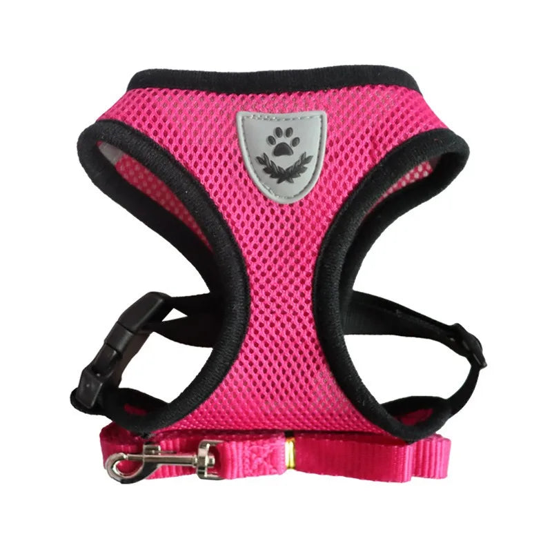 Fearless Pet Harness and Leash Set