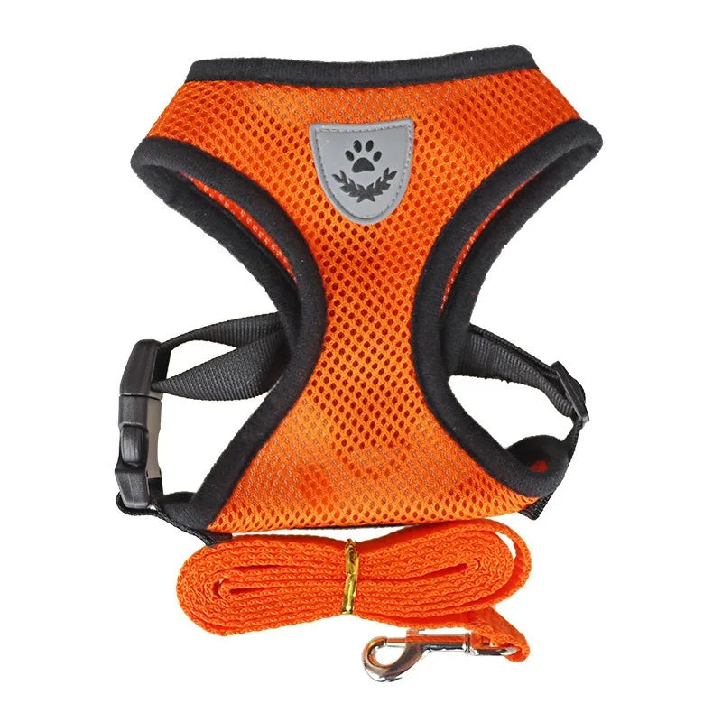 Fearless Pet Harness and Leash Set