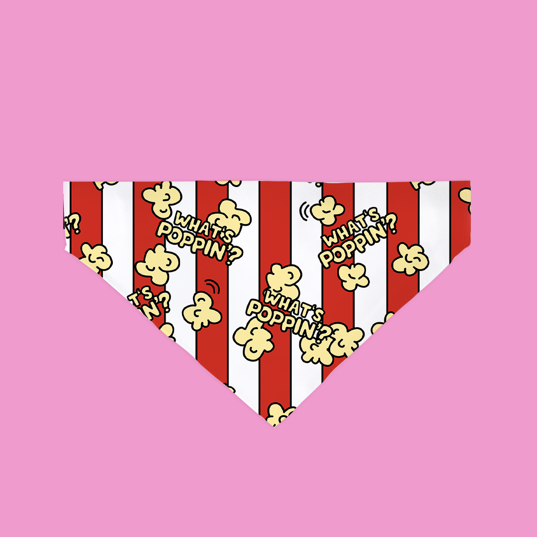 “What’s Poppin’?” Popcorn Pup Bandana