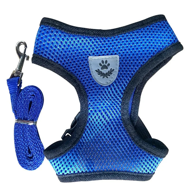 Fearless Pet Harness and Leash Set