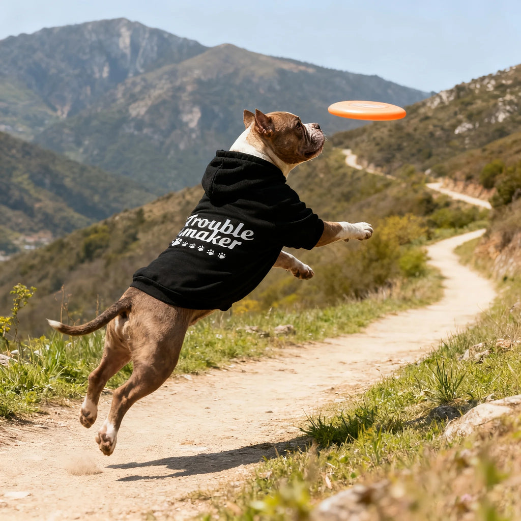 Trouble Maker Dog Hoodie