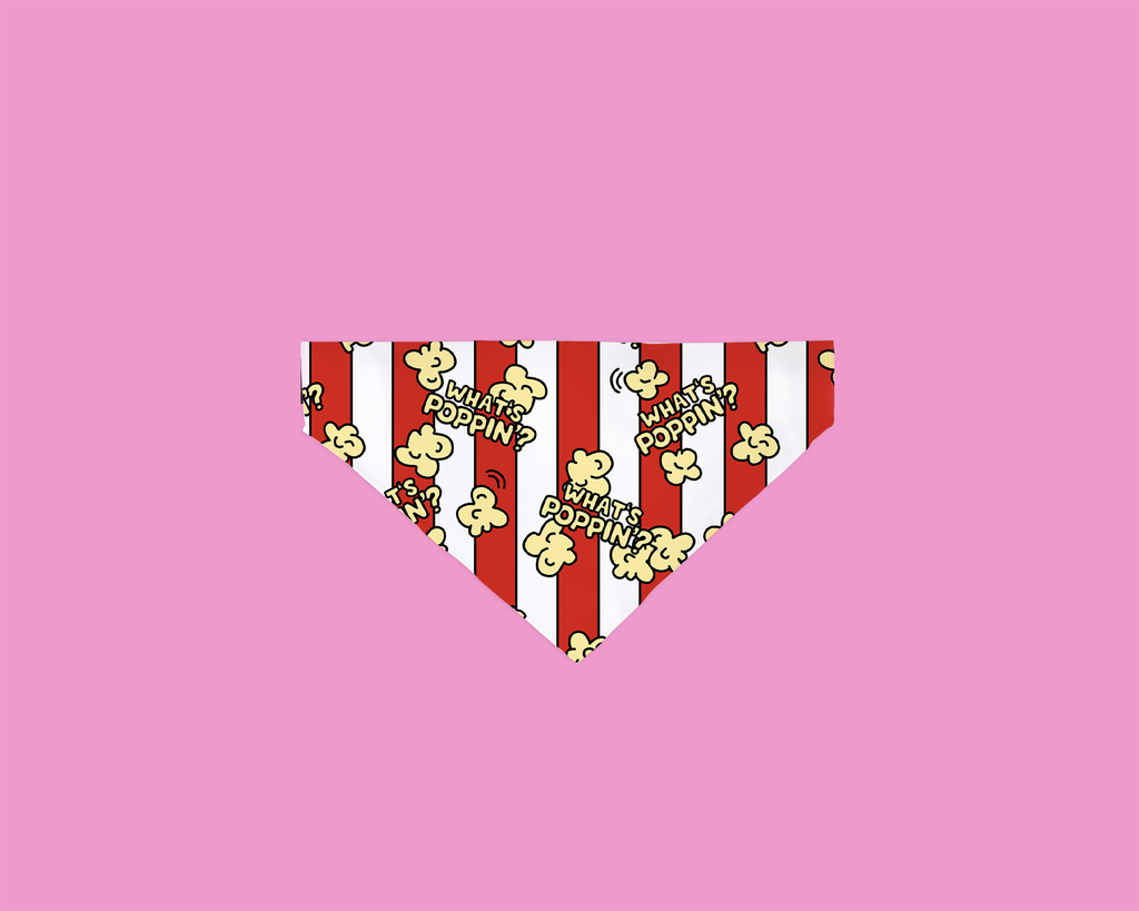 “What’s Poppin’?” Popcorn Pup Bandana
