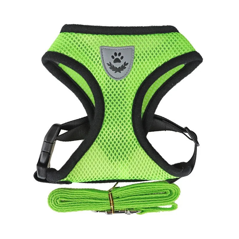 Fearless Pet Harness and Leash Set