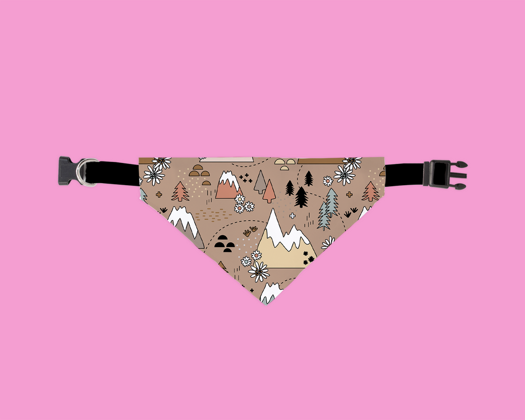 Peak Explorer Bandana