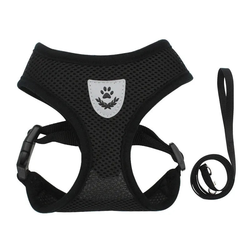 Fearless Pet Harness and Leash Set