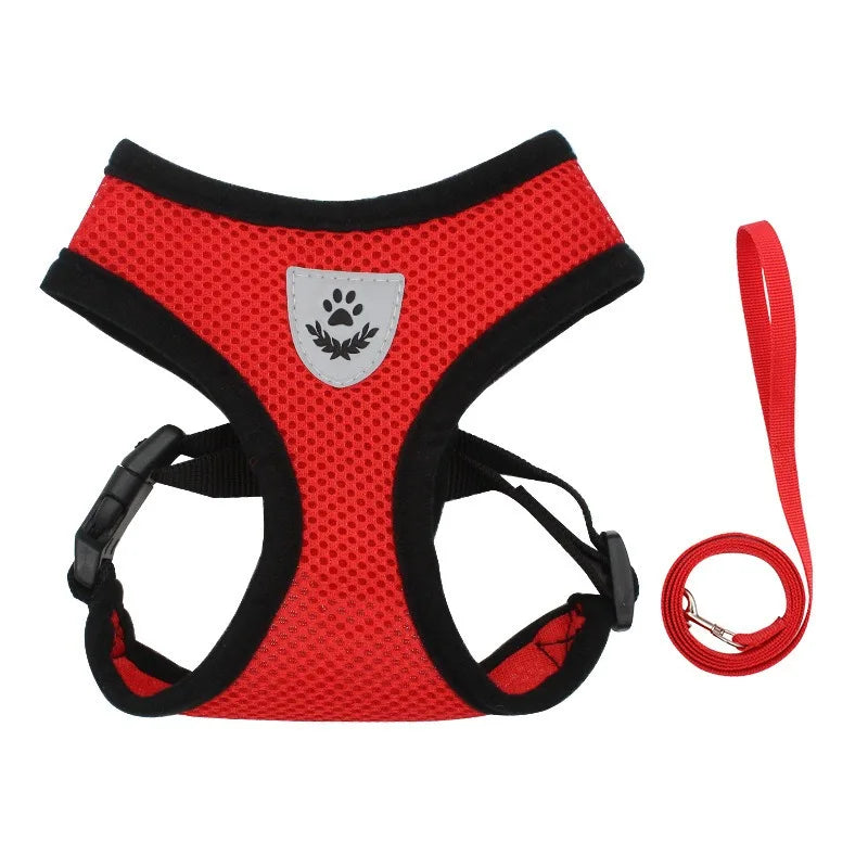 Fearless Pet Harness and Leash Set