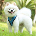 Fearless Pet Harness and Leash Set