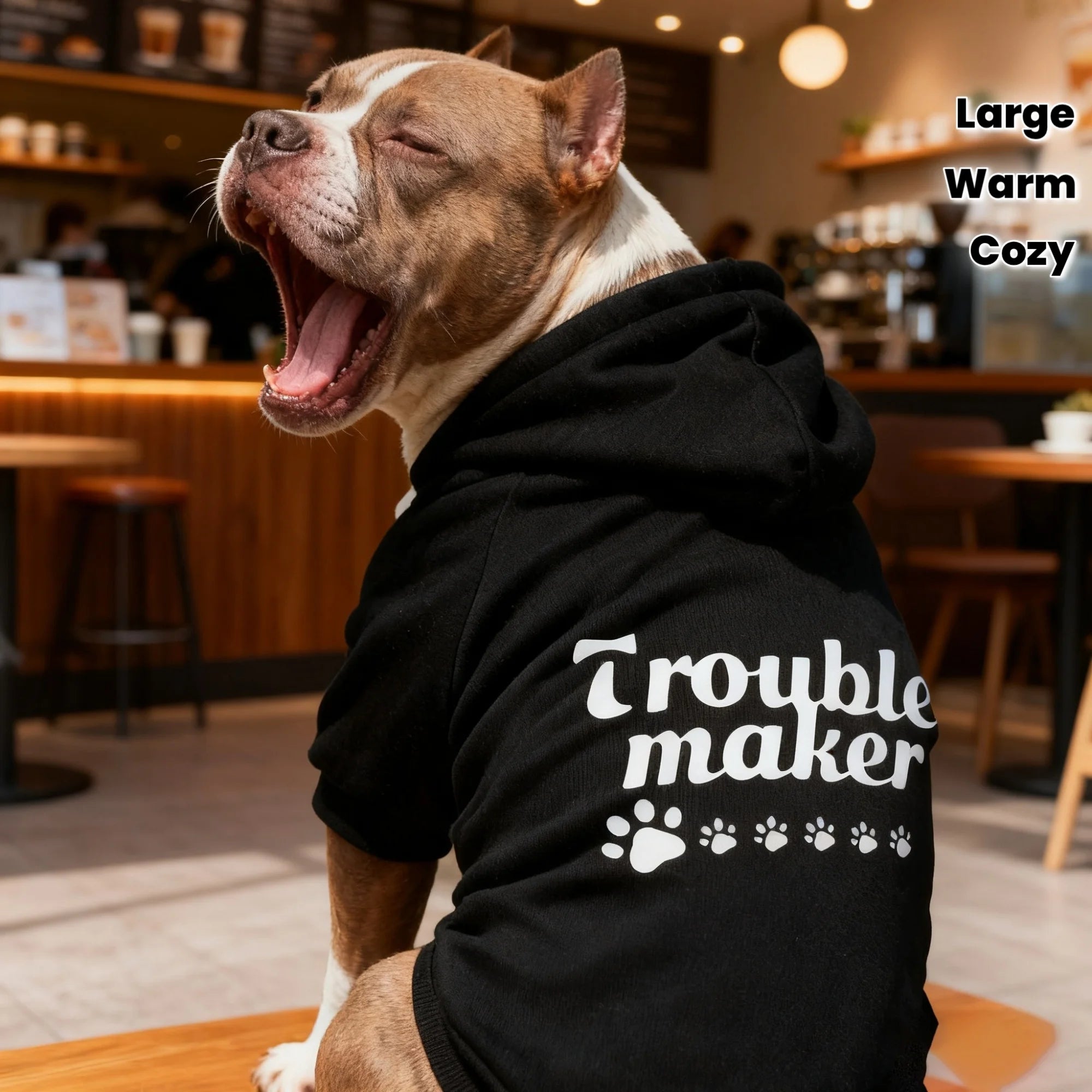 Trouble Maker Dog Hoodie