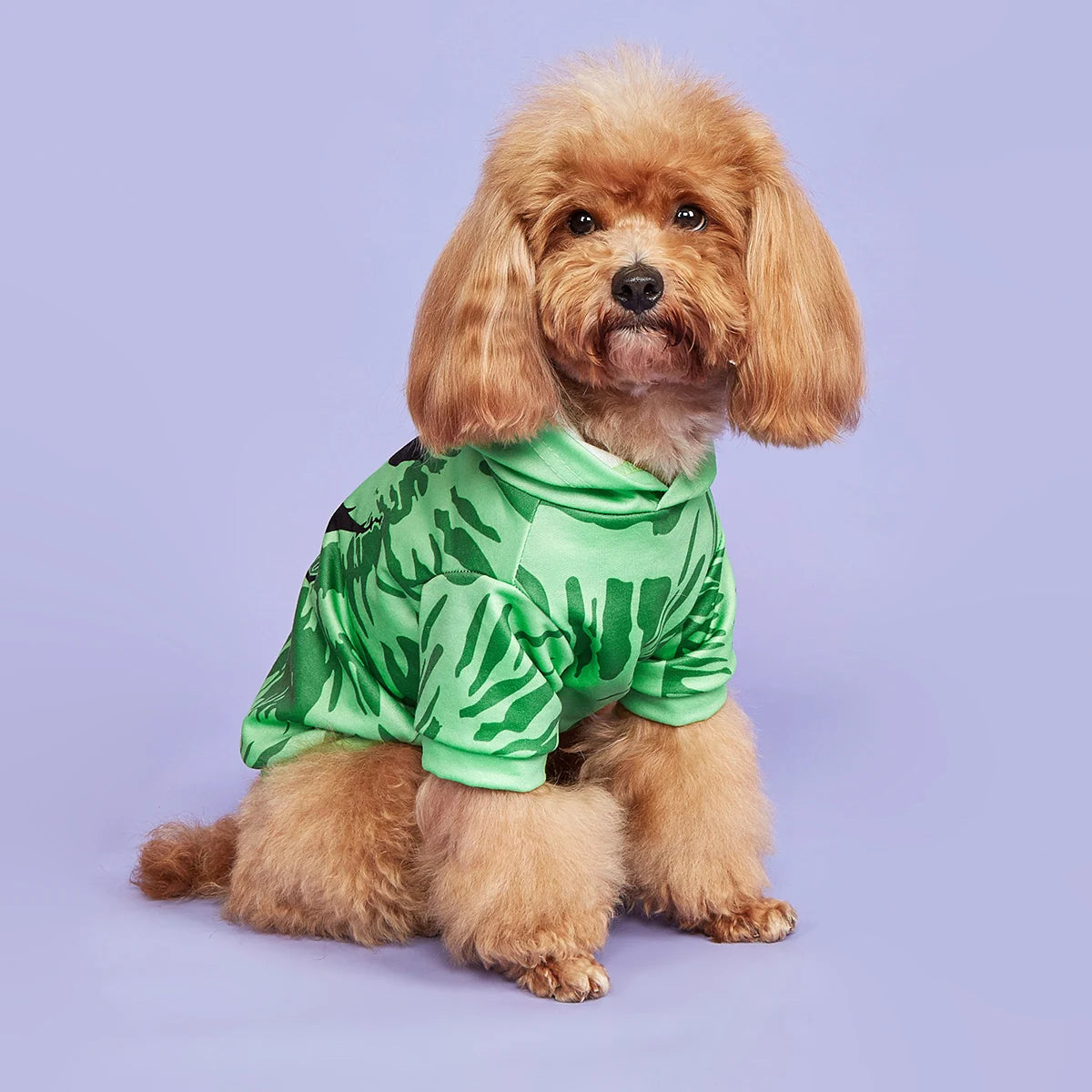 Green Tie‑Dye “Smiley” Pet Hoodie