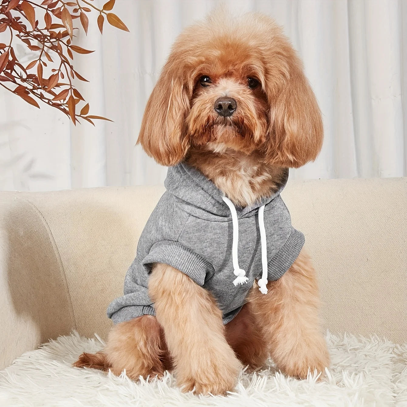 Daddy’s Favorite Pup Hoodie